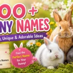 Cute bunnies in a spring garden with text showcasing 500+ bunny names including cute, funny, unique, and adorable ideas.