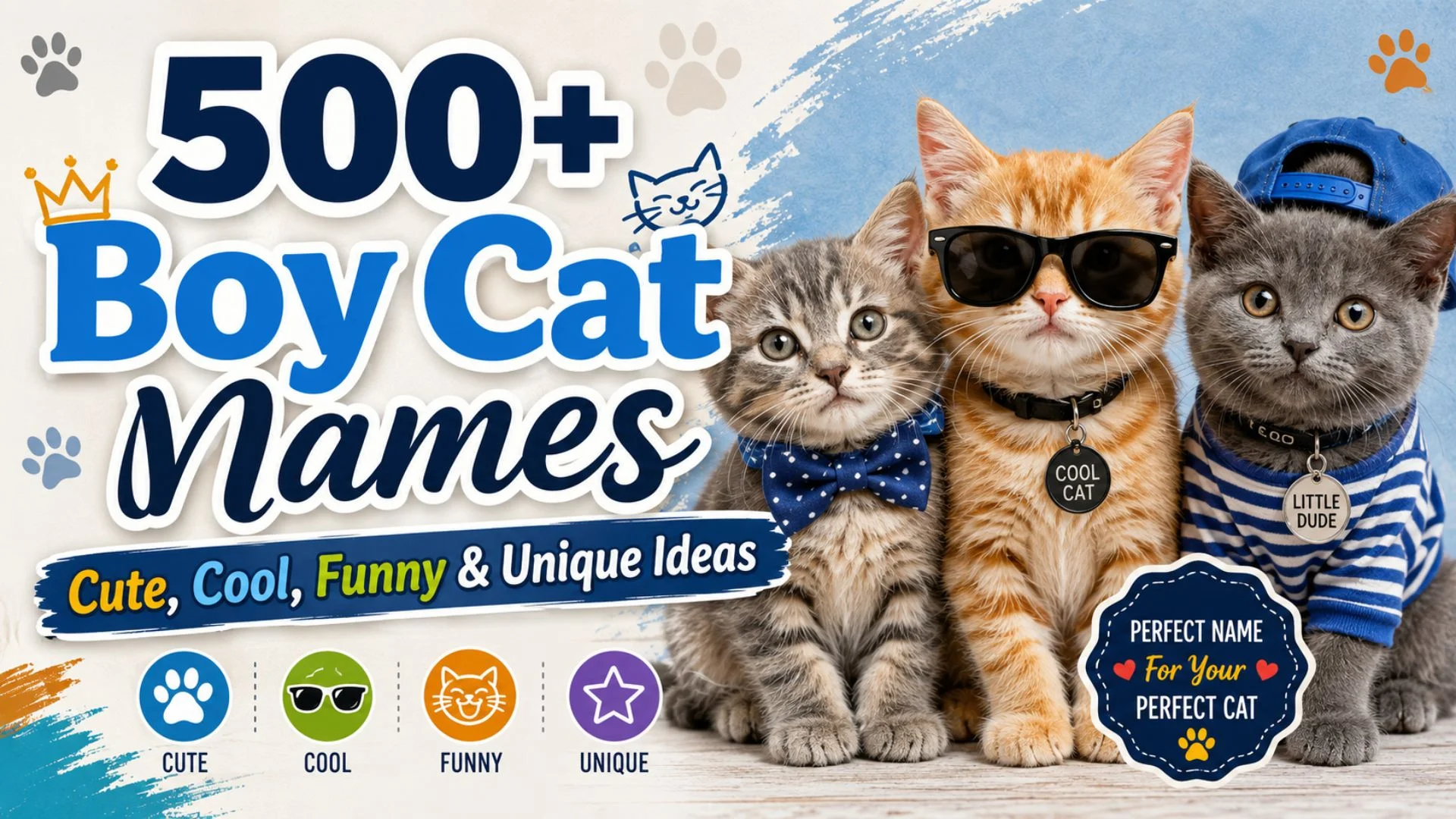 Three adorable kittens with stylish accessories promoting 500+ boy cat names including cute, cool, funny, and unique ideas.