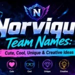 Norvique team names banner featuring cute, cool, unique, and creative team name ideas